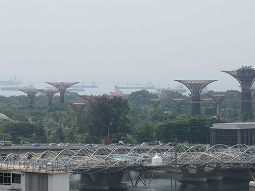 Сингапур. Новый парк растений и мост "ДНК"