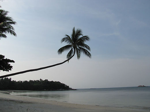 Индонезия. Остров Бинтан